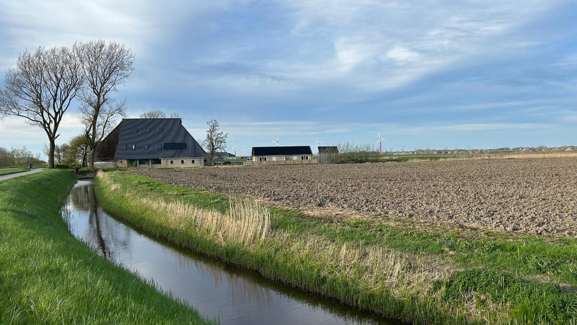 Vakantie Appartementen Sylsicht Sexbierum Exteriör bild